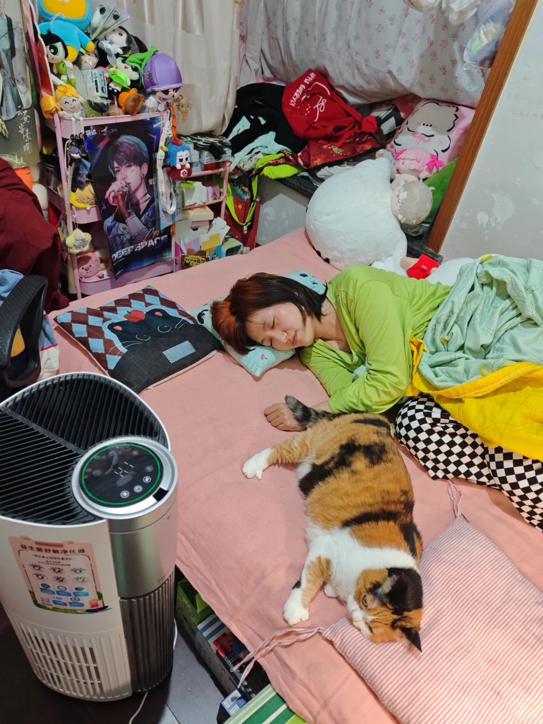 猫毛过敏的犟种也是过上了撸猫自由的生活