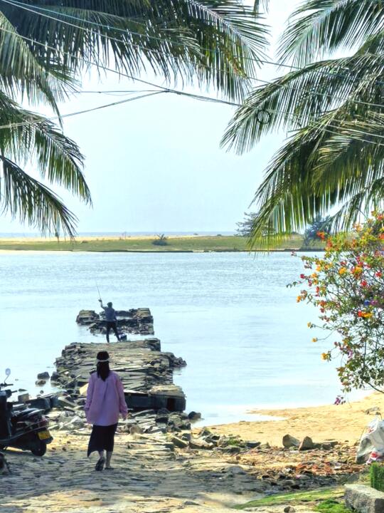 万宁已回！坚决不删，能劝一个是一个……