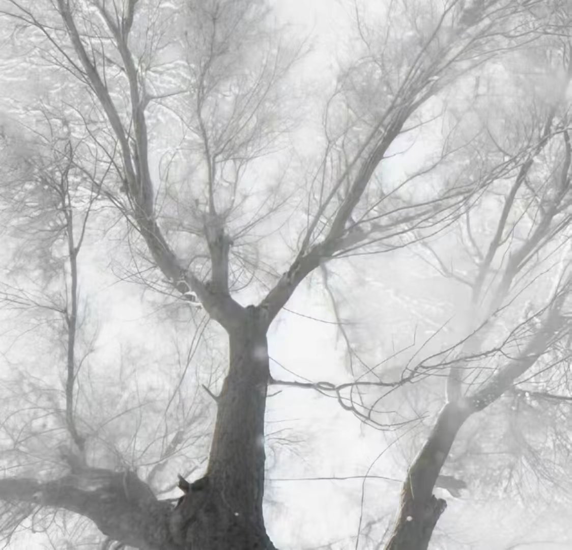 灰色系｜韩系｜背景图 ｜ins风 