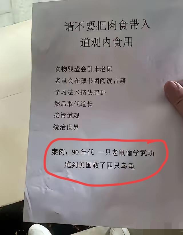 好奇！不懂就要问，这只老鼠偷学了功夫跑到美国教会了哪四只乌龟？求解？[what]