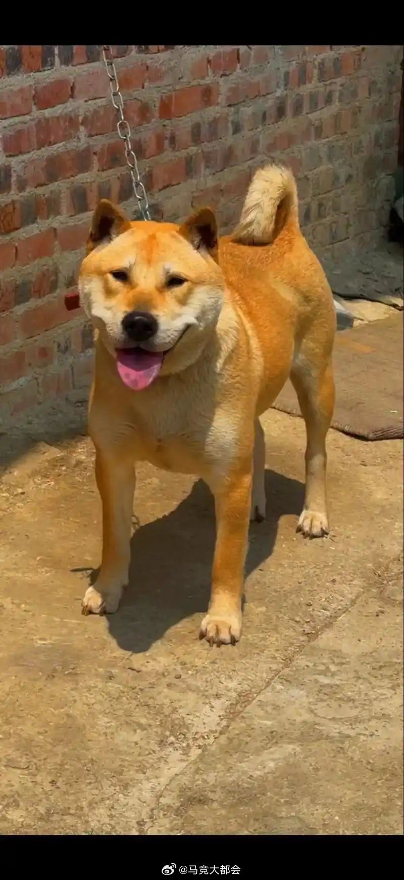 人家歧视完你再无视你，再看他们自己被“歧视”了一个个叫的那么欢，这就是就没把你当