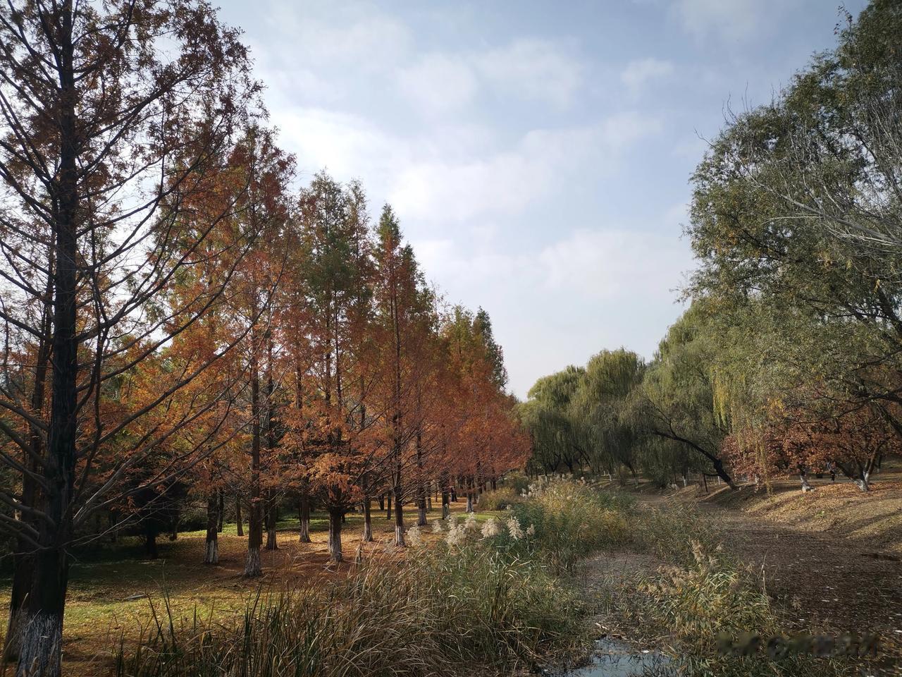 #“给住院婆婆吃泡面”视频系摆拍#
在全民自媒体的时代，为了获取关注是无所不用其
