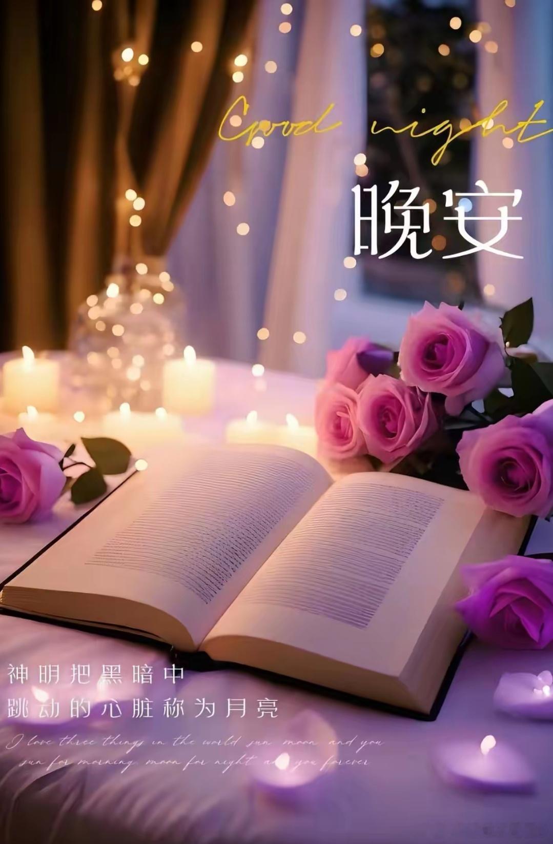 晚安 ➻➻让今晚的月光守护你的睡眠，愿你在梦中遇见美好。晚安。 