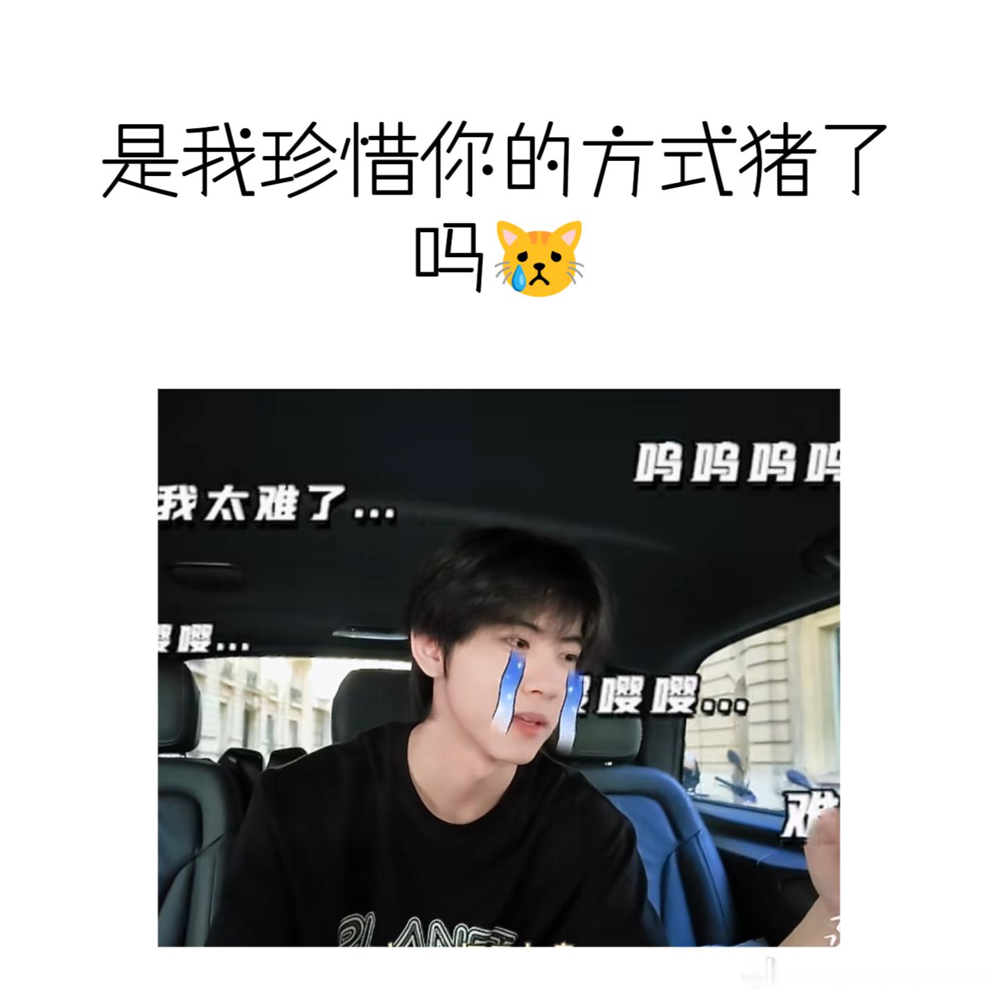 难道……是我珍惜你的方式猪了吗😿💧 ​​​