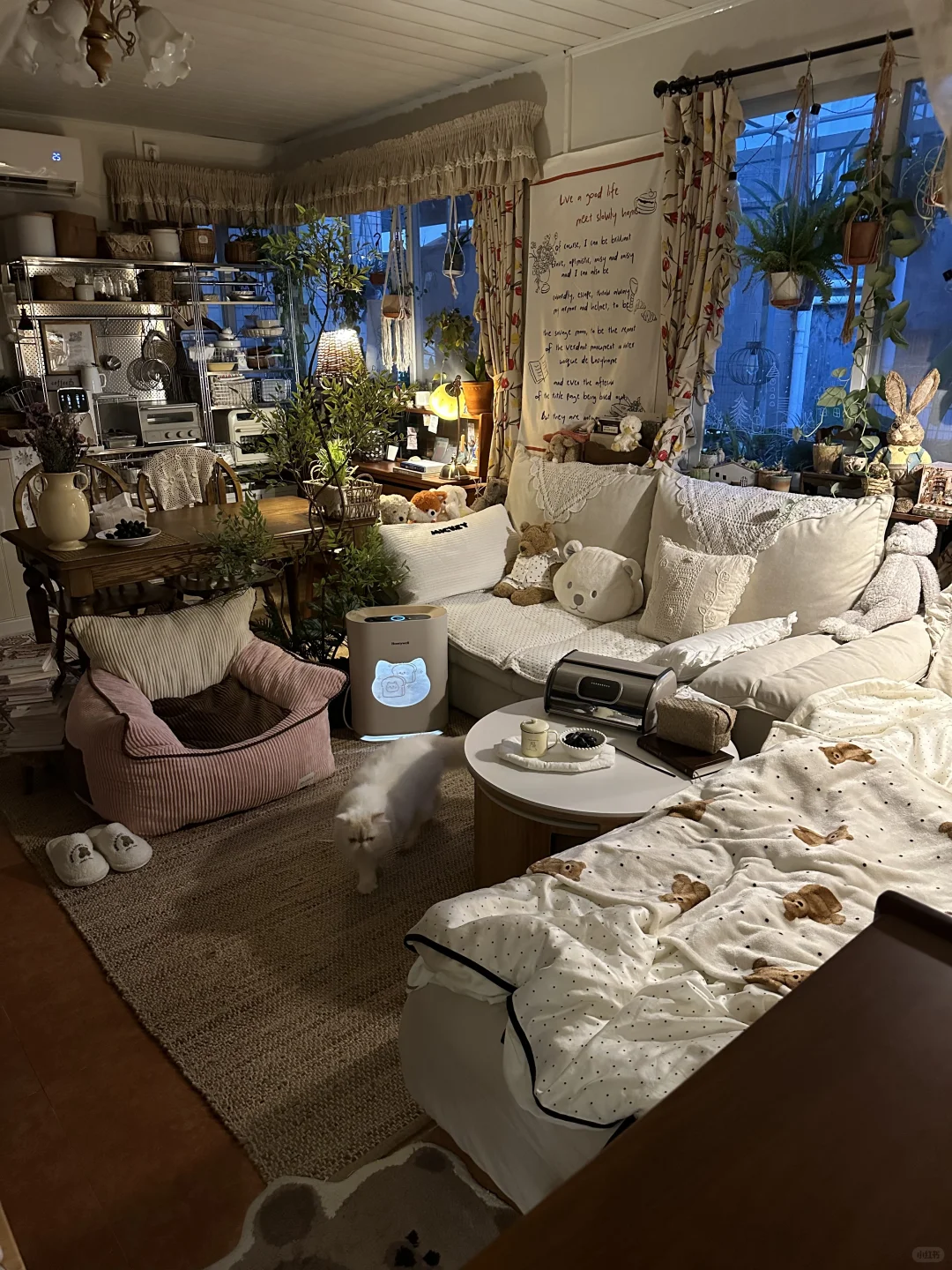 入夜中的小屋生活碎片ꗯ̤̮