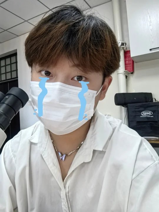 不想开题
