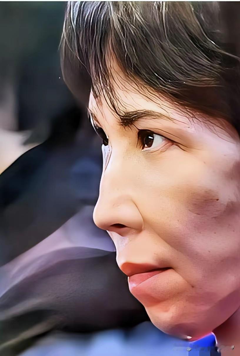 高市早苗露出了险恶的面容！

高市早苗有着丑恶的嘴脸。相由心生，她那凶狠的神情、