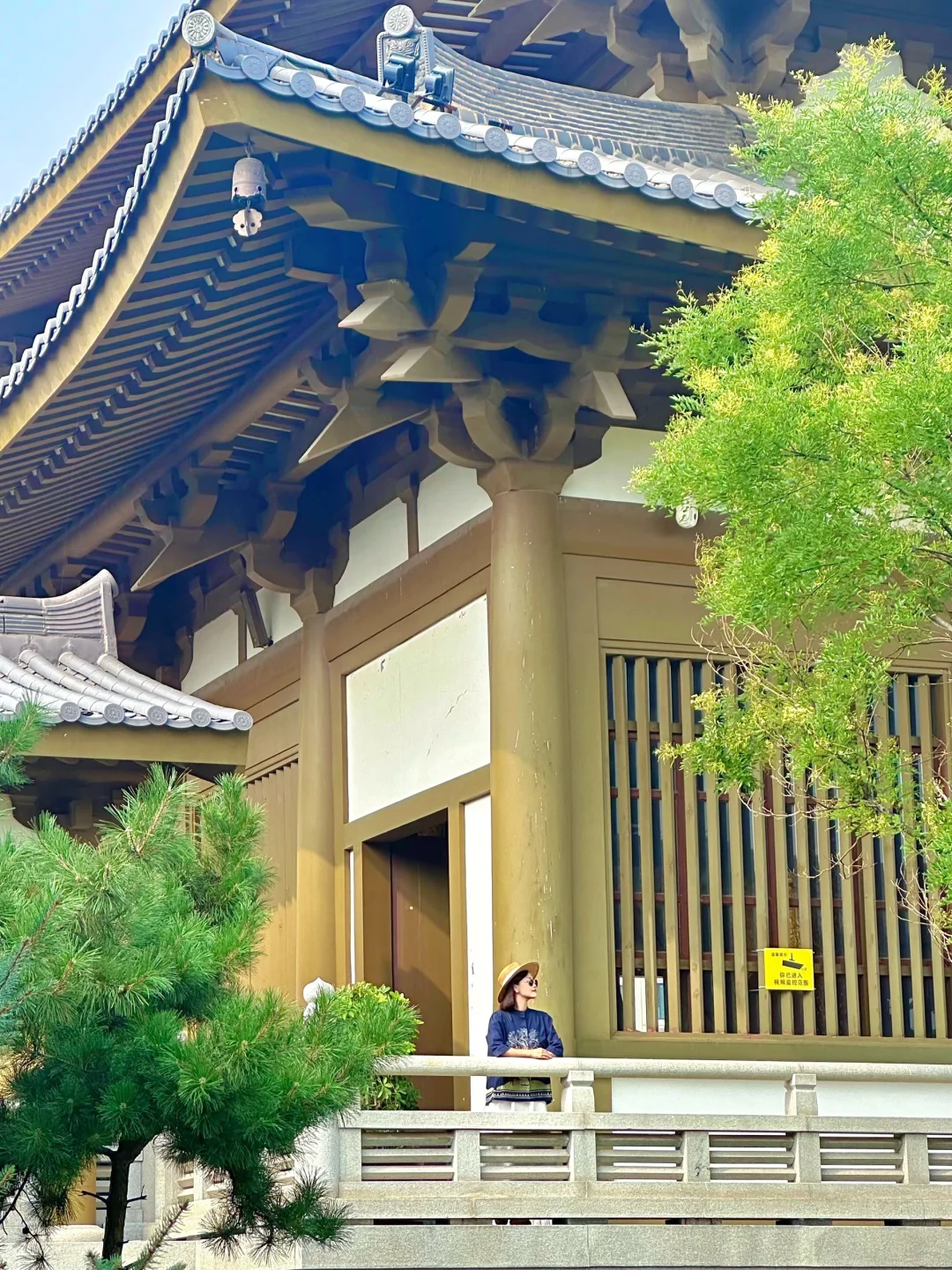 沈阳拍照｜梦回大唐的沈阳回龙寺真的太美了