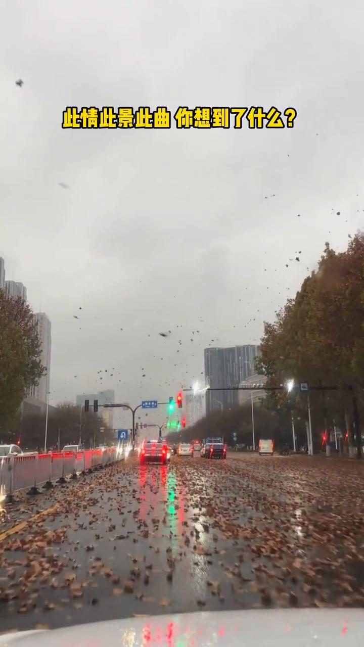此情此景此曲你想到了什么？