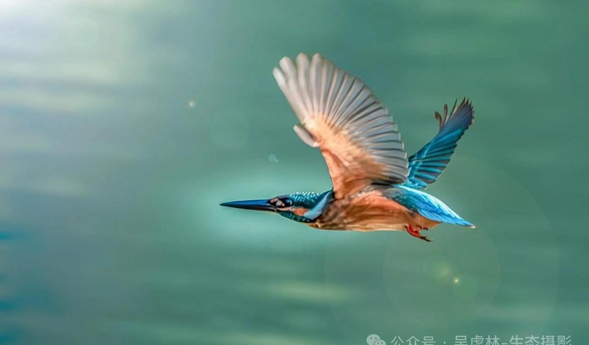 退休后，很多人以为是享福的开始，其实是守卫财富和安宁的决战拉开了序幕。
以前你是