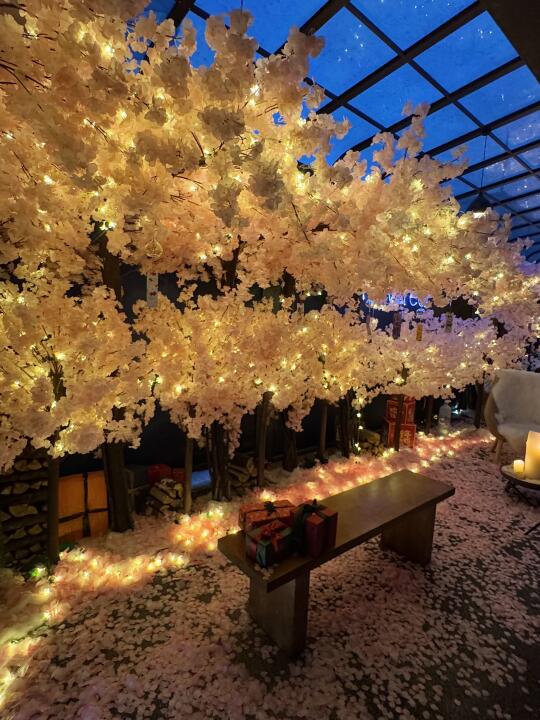 杭州！！！会带每任crush去的！！！