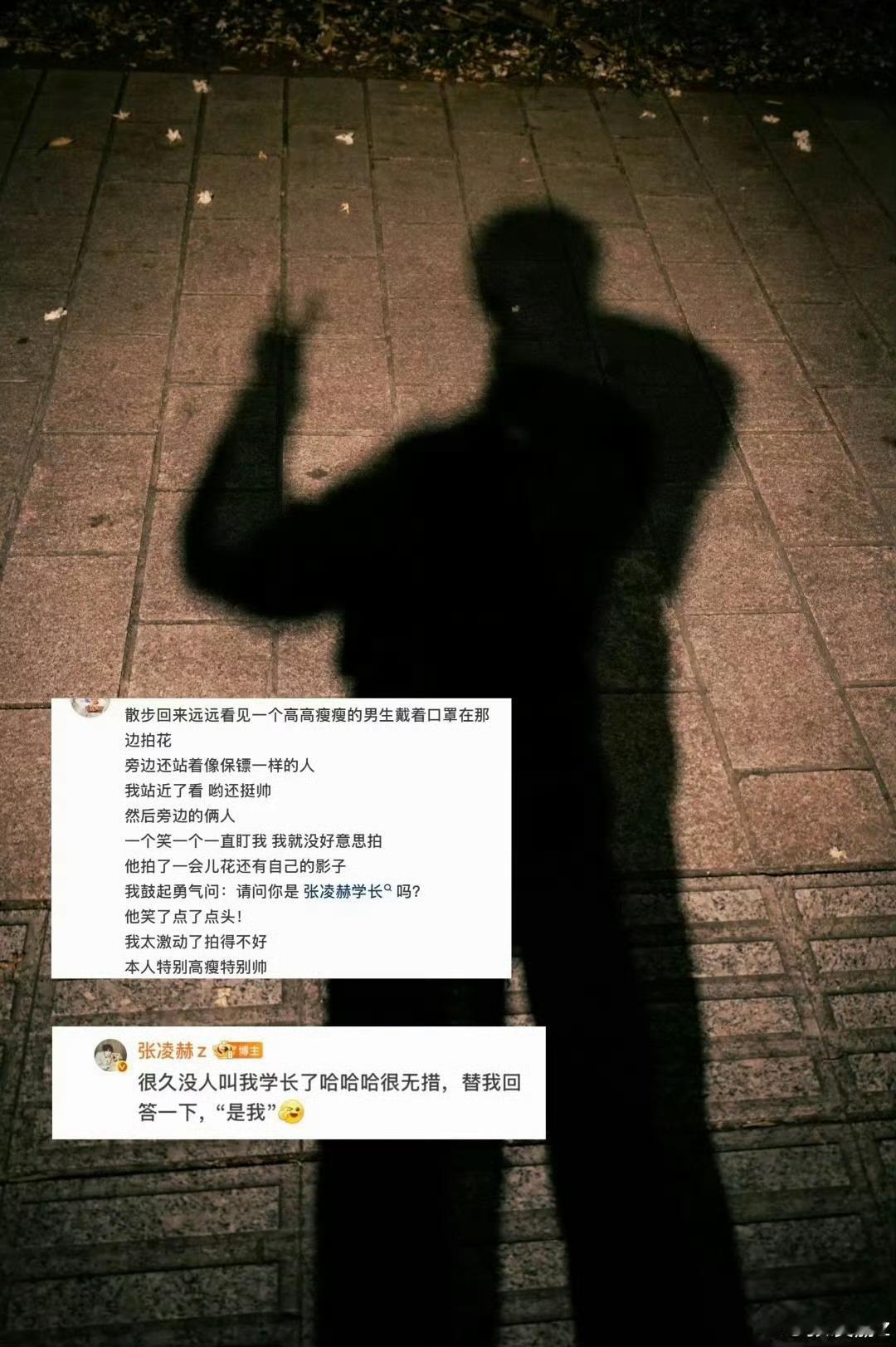 张凌赫故地重游感觉怎么样 张凌赫很久没人叫我学长了张凌赫母校永远欢迎你