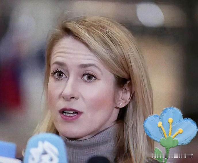 欧盟外长再次语出惊人，这次是关于霍尔木兹海峡！

当地时间3月16日，欧盟外长卡