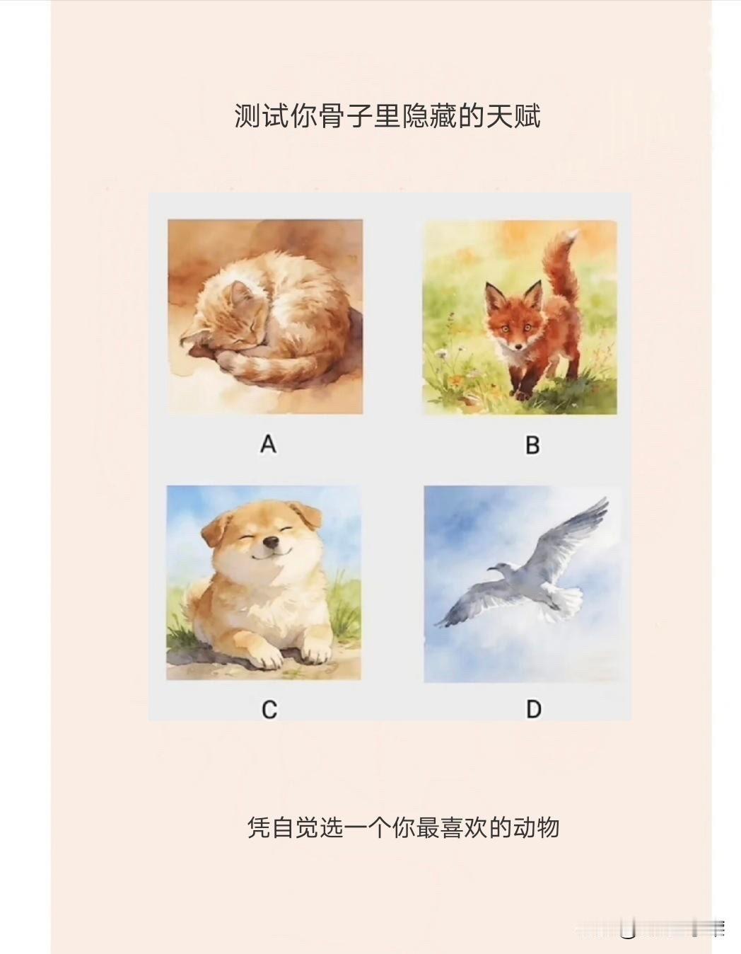 凭自觉选一个你最喜欢的动物