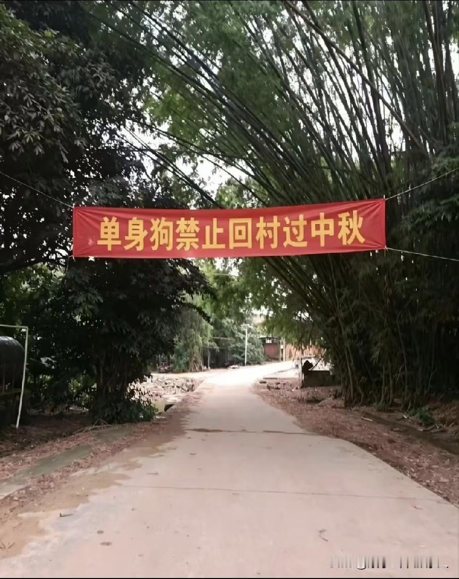 这个图肯定是ai[大笑]