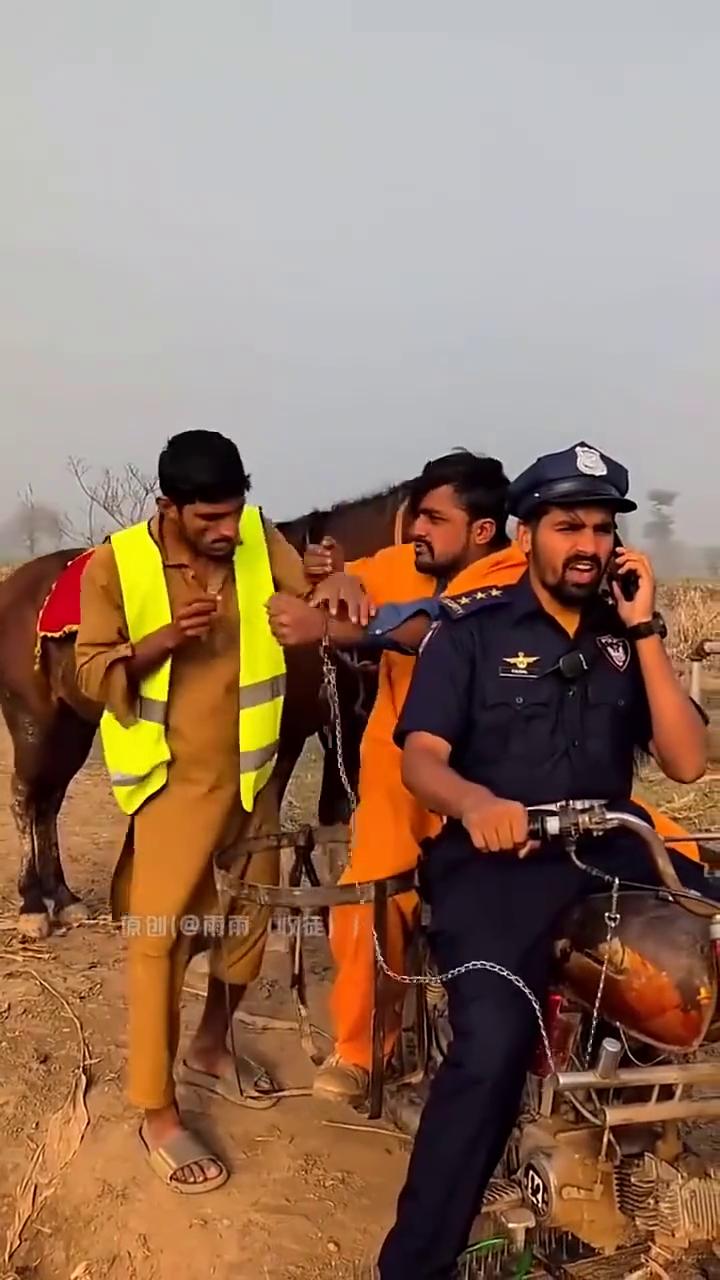 哈，哈哈哈哈。