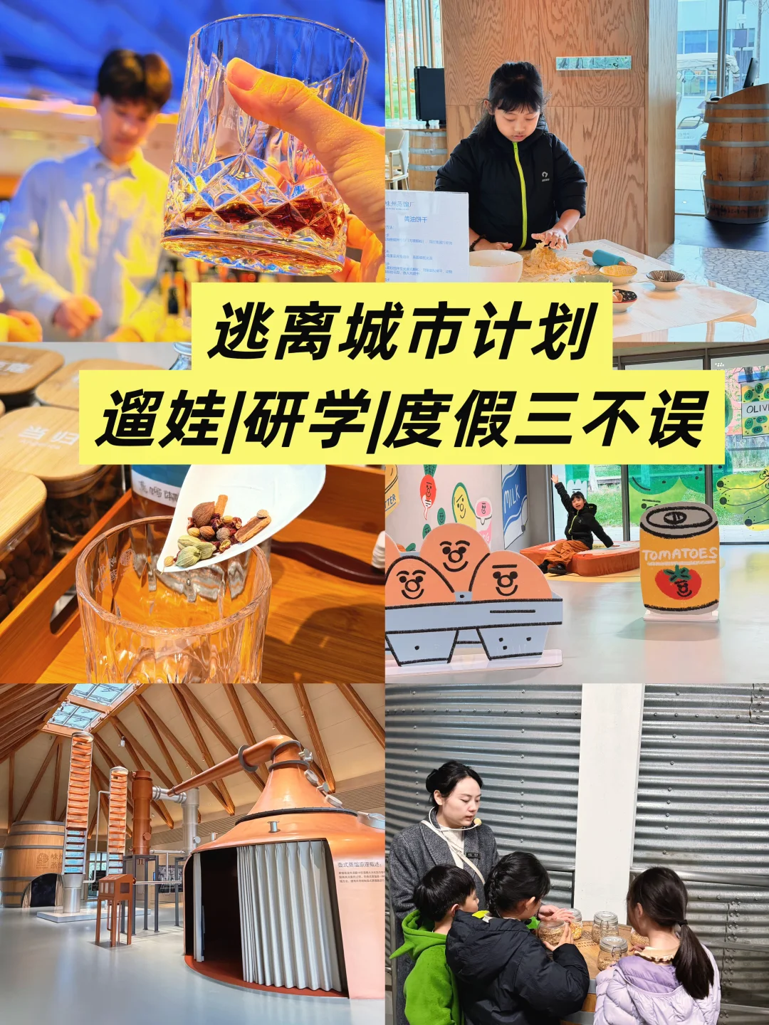 🪘成都居然有“研学级”一站式度假🏖️酒店