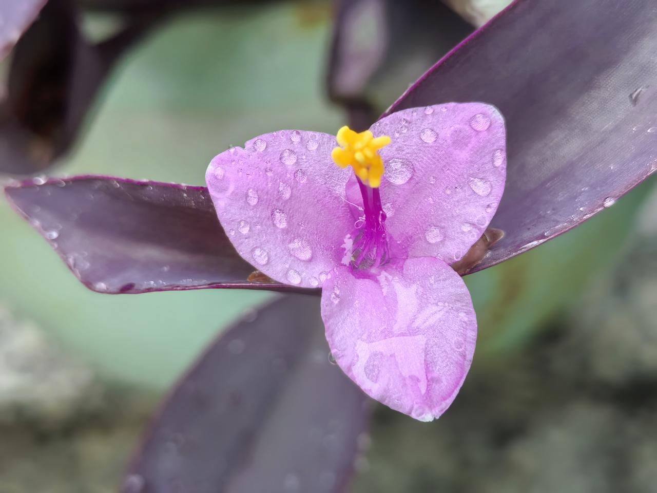 女孩子不能只看脸，身材，最重要看性格，个人能力与修养。这些都好了，家庭条件可以不