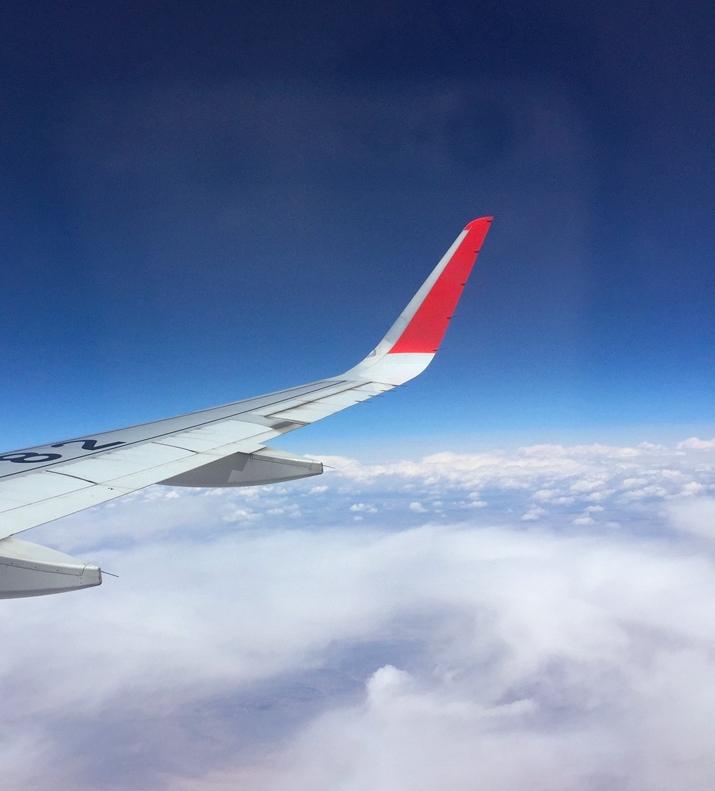 老伯杂谈｜凌晨四点多醒来，突然发现窗外差不多只有呱呱的蛙叫声，少了飞机的轰鸣声，