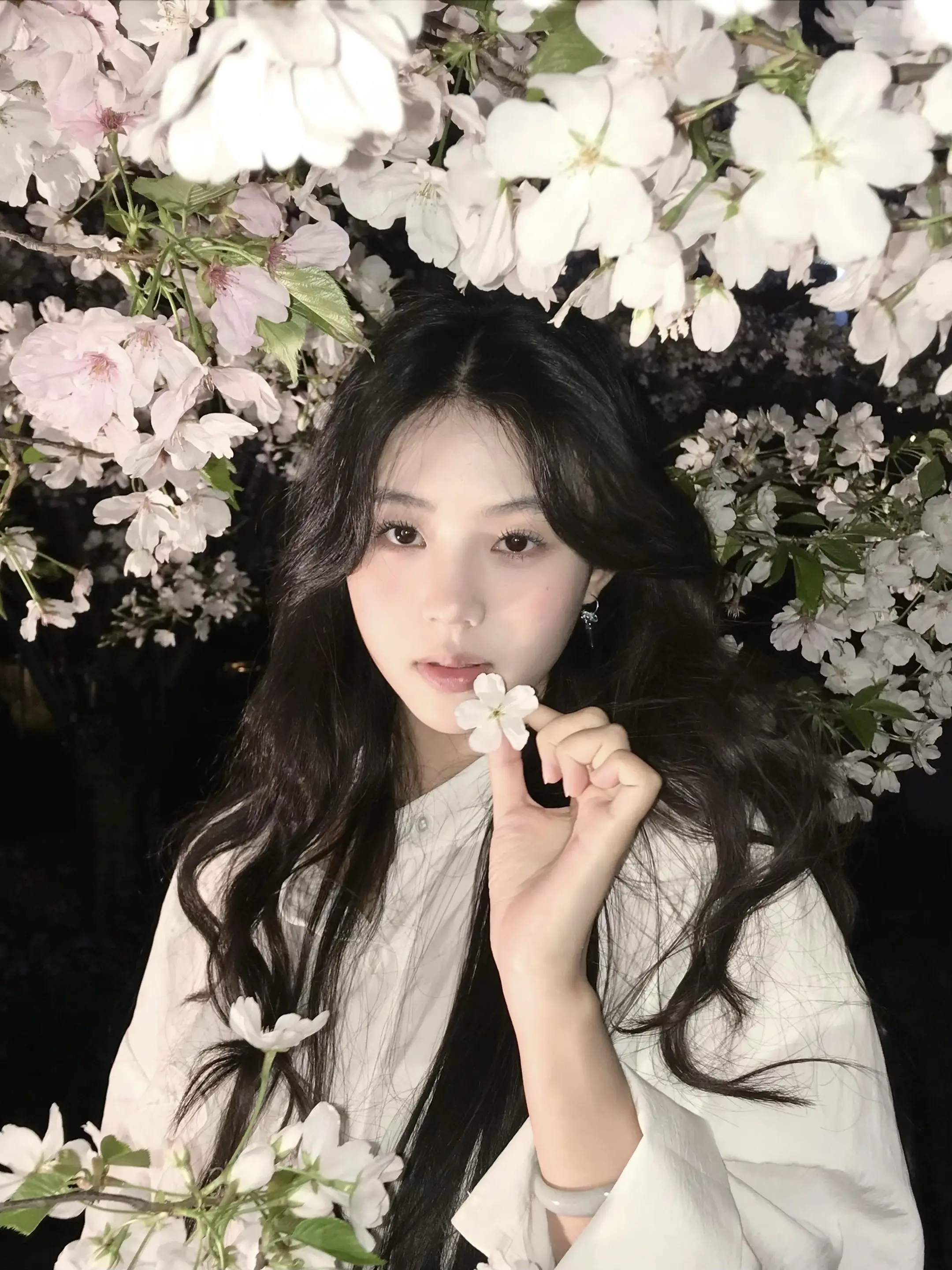 夜樱拍照，闪光灯给的氛围感