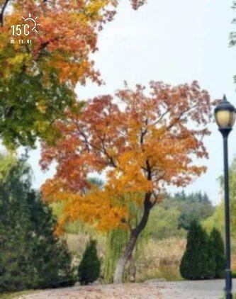 早安        有点晚了……      [允悲] ​​​