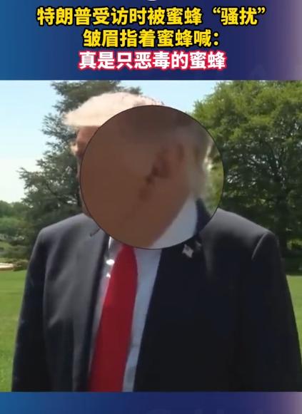5月3号特朗普接受媒体采访，本来表情还挺严肃，结果半路杀出个“程咬金”，一只蜜蜂