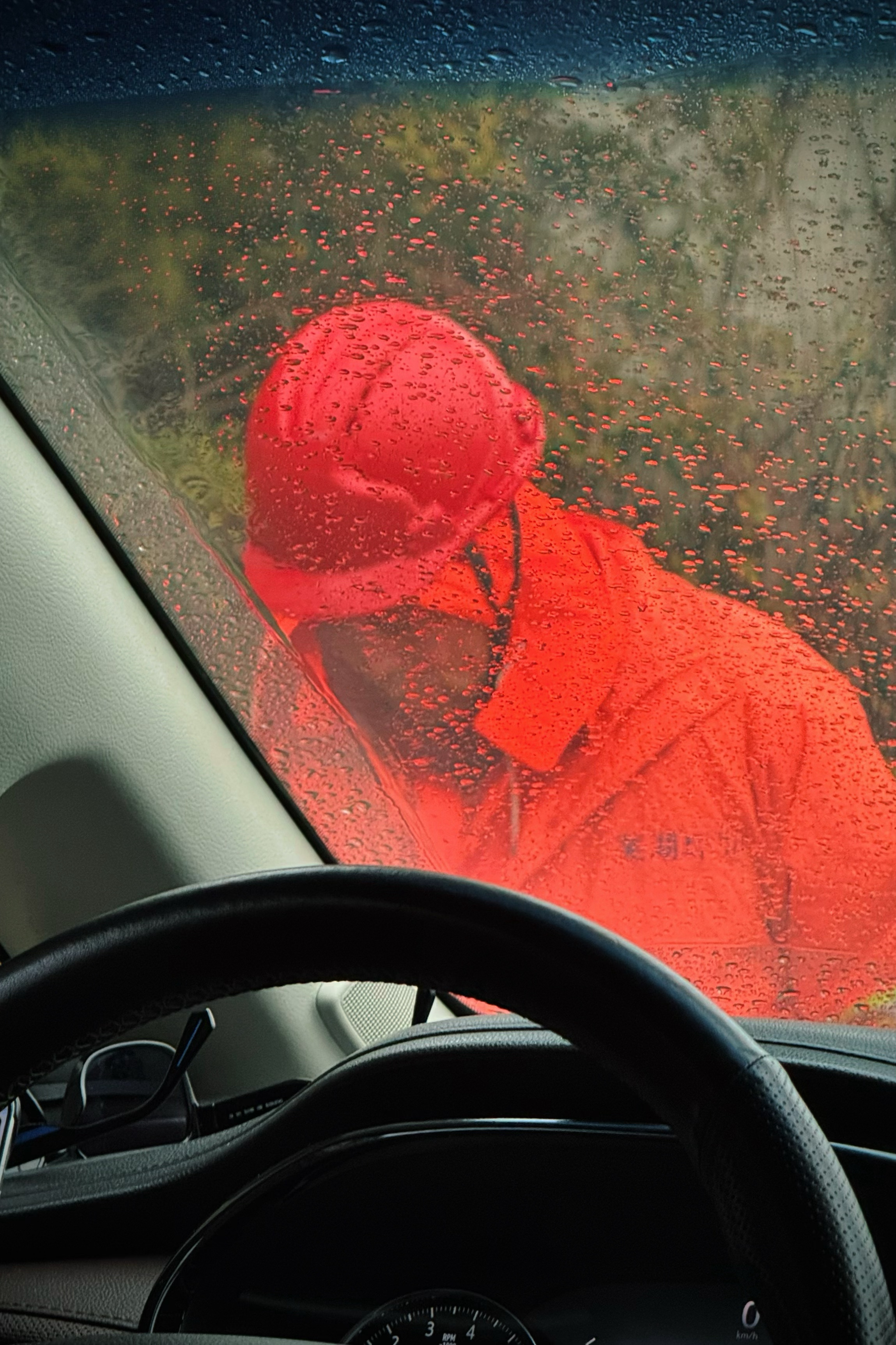 “污泥啊 血肉啊，石头和大地也是你啊，莫要哭 莫要怕，走过了东路就到家。”红烧小