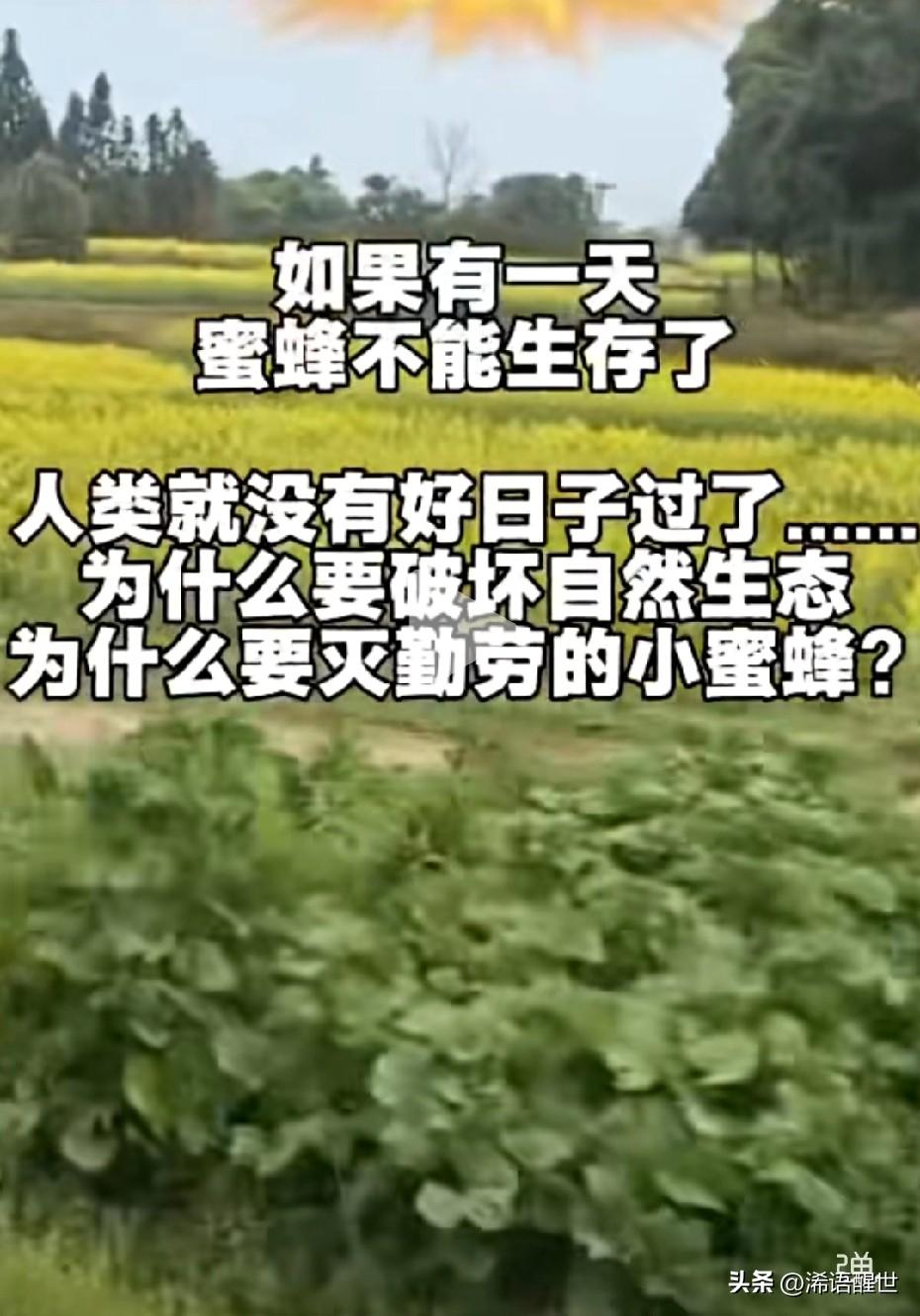 曾仕强曾经说过，未来我们可能会面临缺水缺粮的情况，之前我还不太相信，可现在越看越