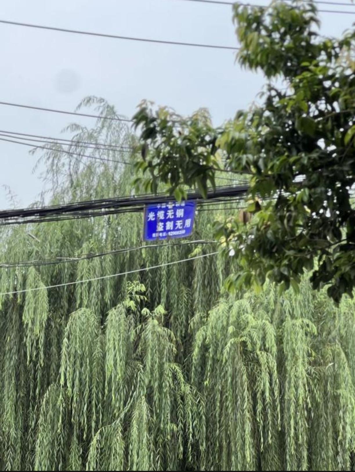 每一个标签后面都有一个故事！有网友发帖称：真的有人偷吗？只见图片光缆上挂着一个牌