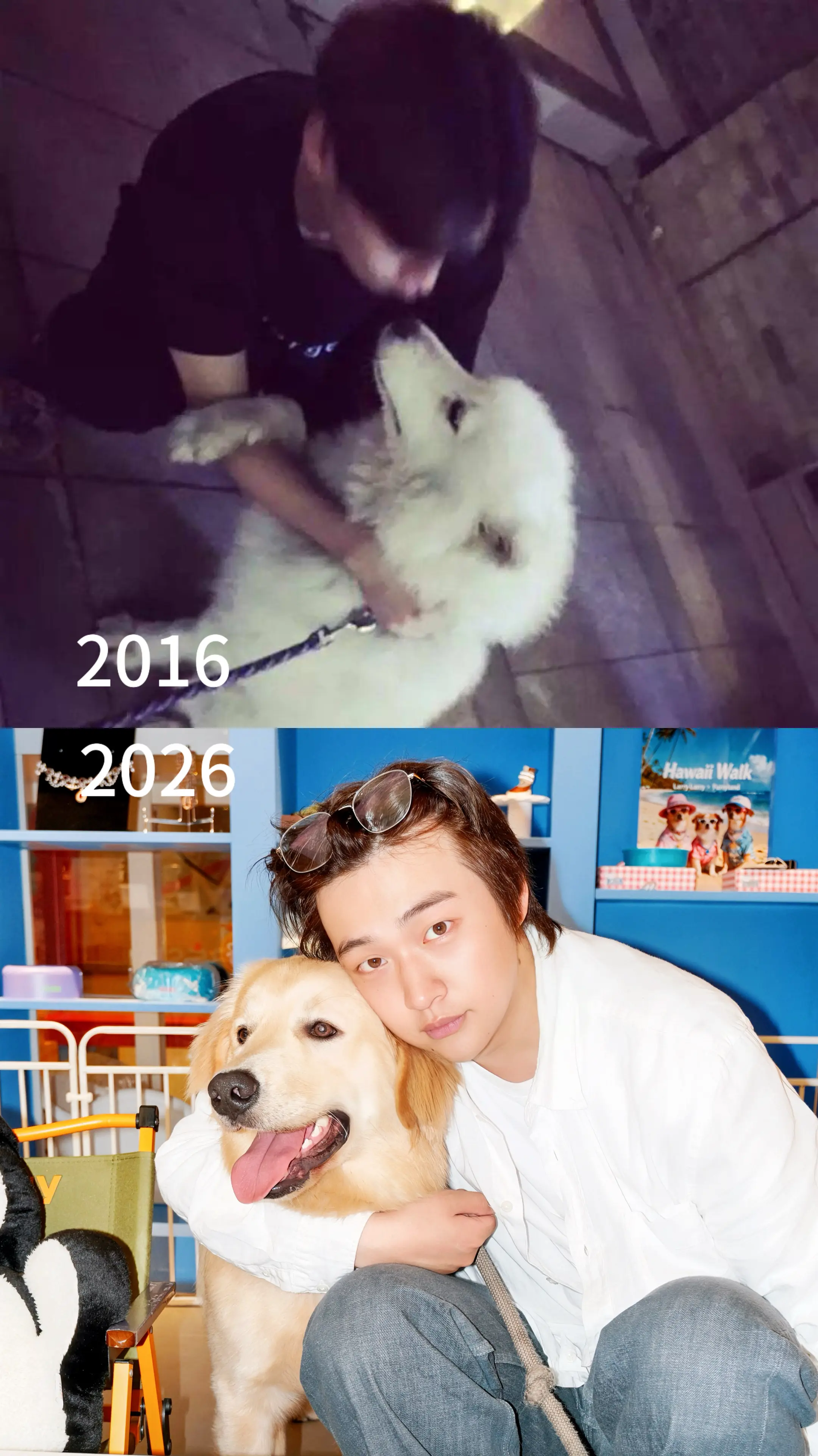真的 自由了。2016那不是我的狗，是我在街上遇到遇到别人家的 朋友正...