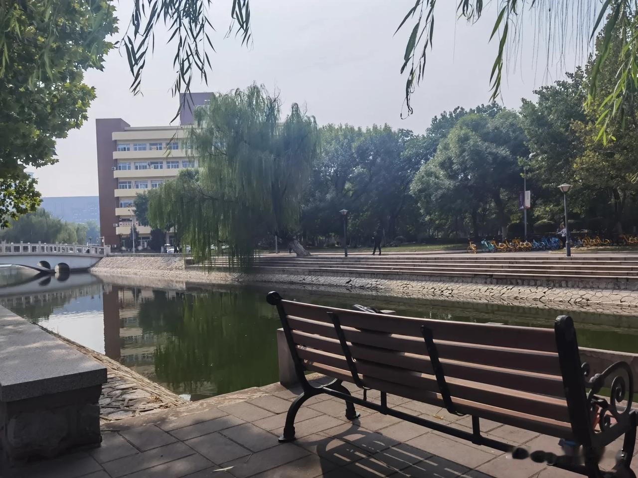 这个椅子你坐过吗？（摄于南开大学八里台校区）
