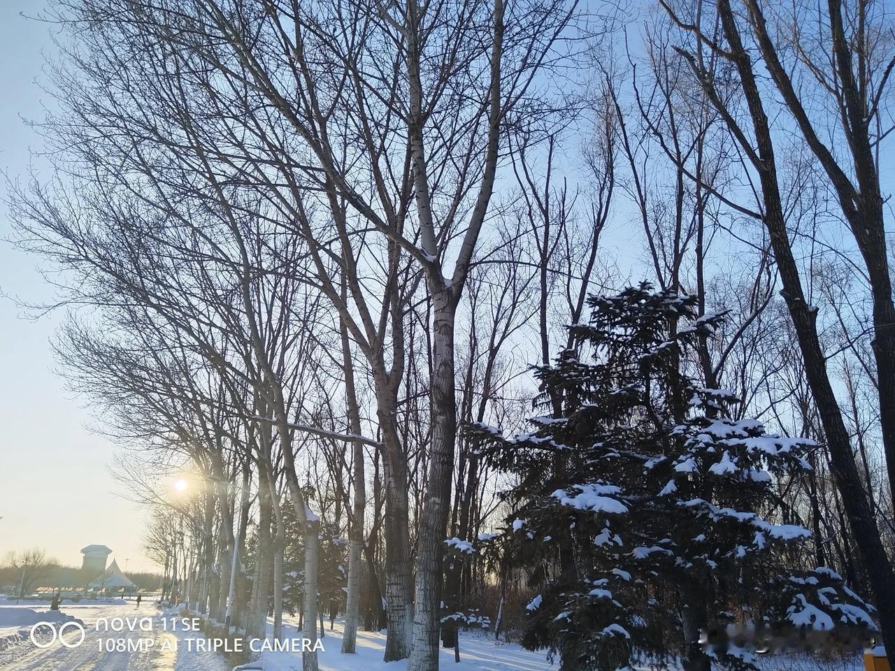 晒出你的人生照片雪 雪