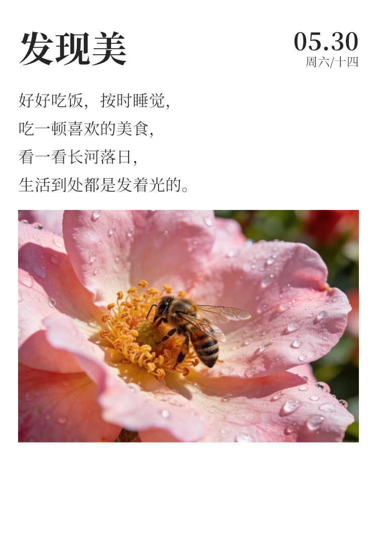 早安 ☀️每天早起打卡优秀的人没有标准定义，答案由我们自己寻找。优秀本就千人千面