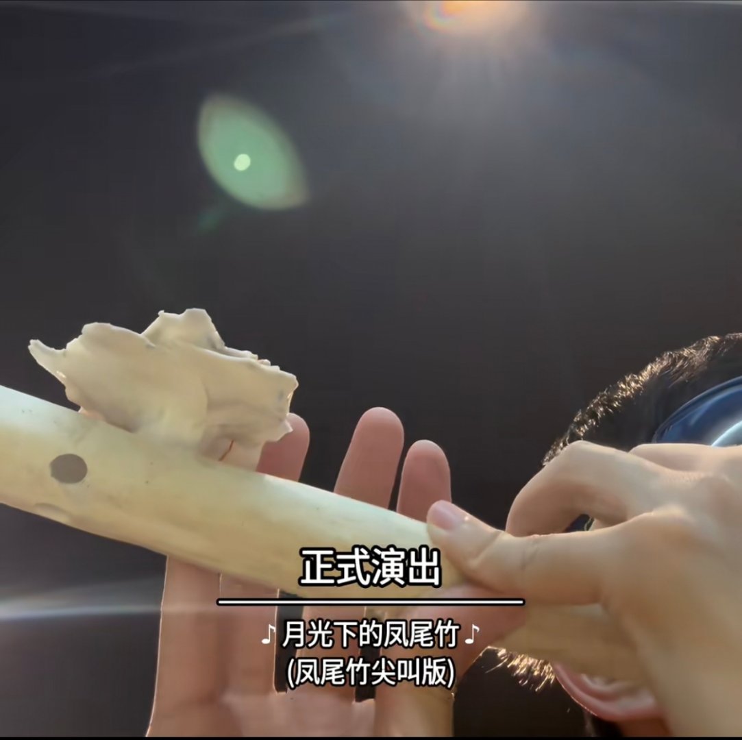 我要笑死了，请欣赏《月光下摇摆的凤尾竹》的姊妹篇《月光下尖叫的凤尾竹》 