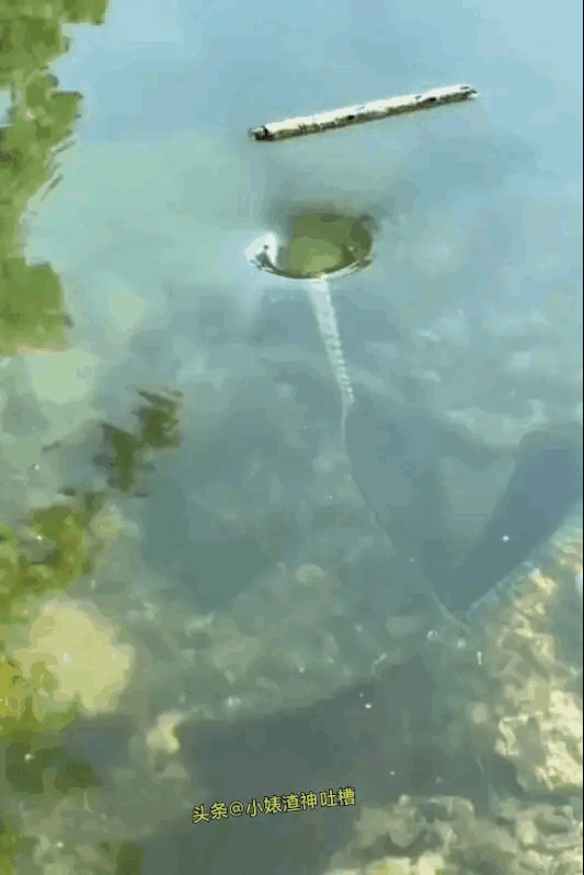 这讲述了什么人生哲理