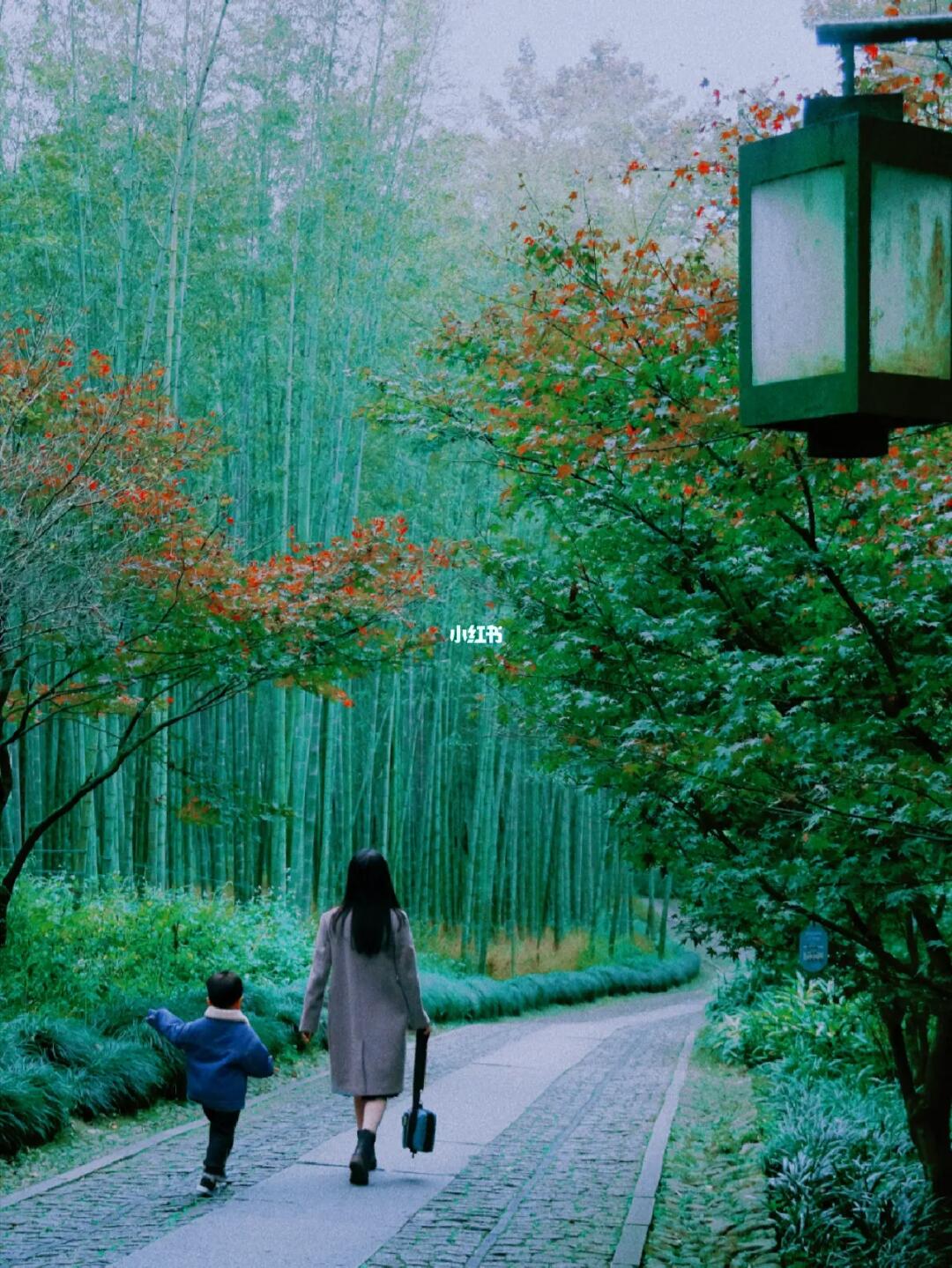 想告诉全世界！雨后的云栖竹径就是人间仙境