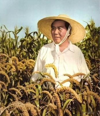 在希望的田野上