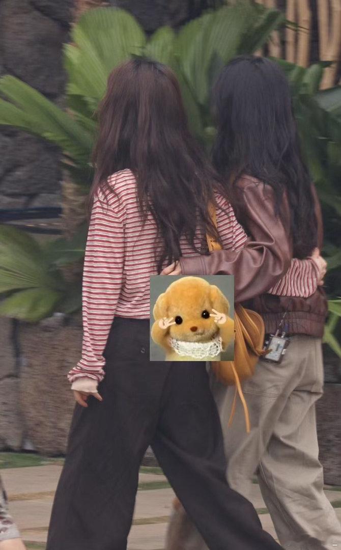 谭松韵录制的是向往的秦岚谭松韵对秦岚那种依赖感真的藏不住，根本不是演的。就是打心