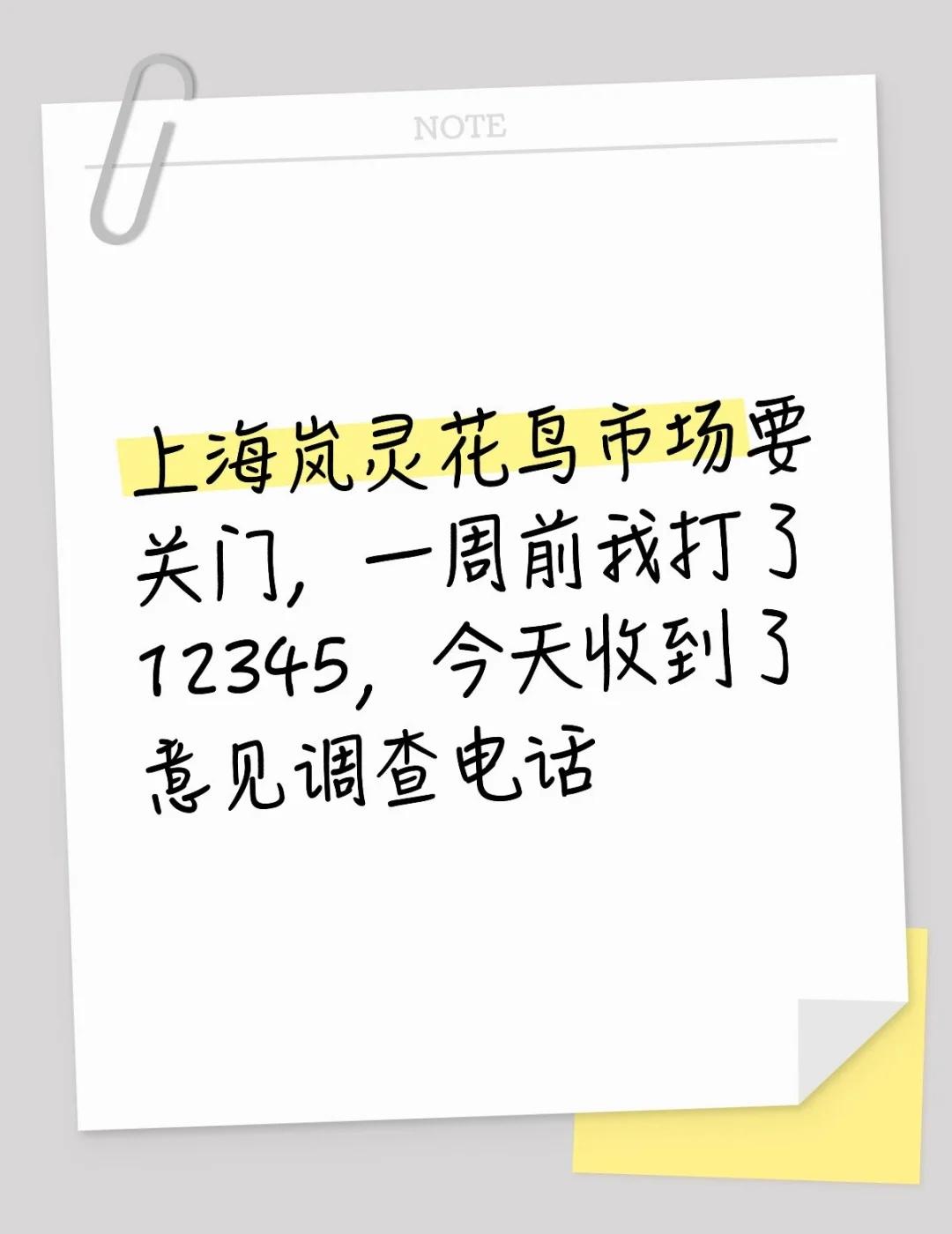 打12345的当天就给我回复，说那块地方是村集体用地，今年年底花鸟市场租约到期，