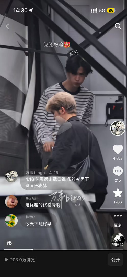 感情不一样的、、、倒不是卡面最好看此蛇三角带花纹 虽无毒 但我已经轻轻的跳了 