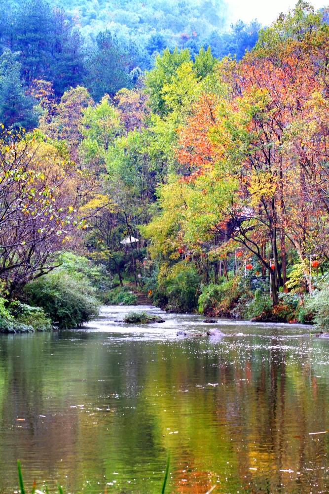 秋景·五彩斑斓
#秋色记录# #我的秋日摄影# #秋天的摄影季节# #秋日生活打