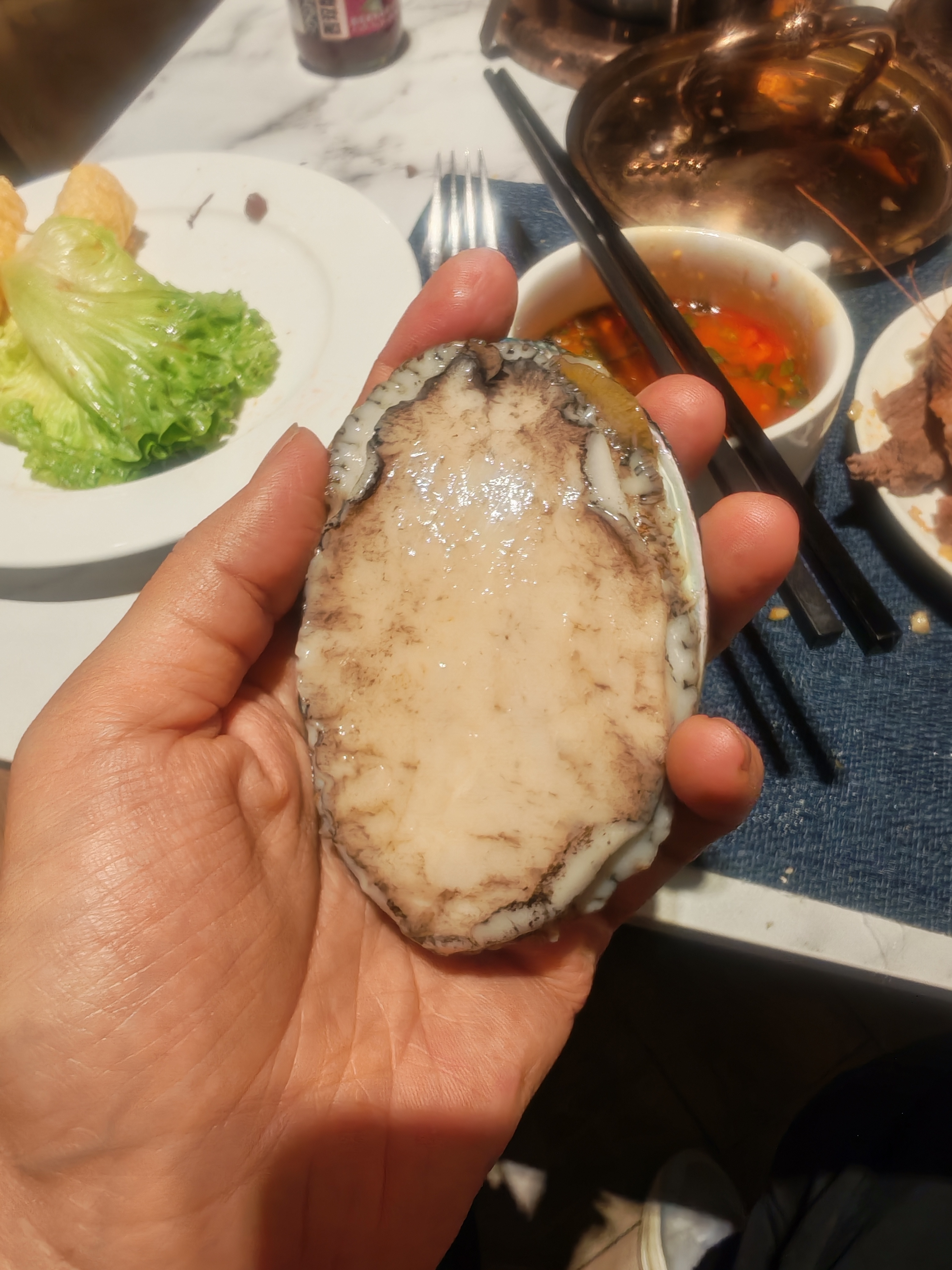 这个鲍鱼挺大的 