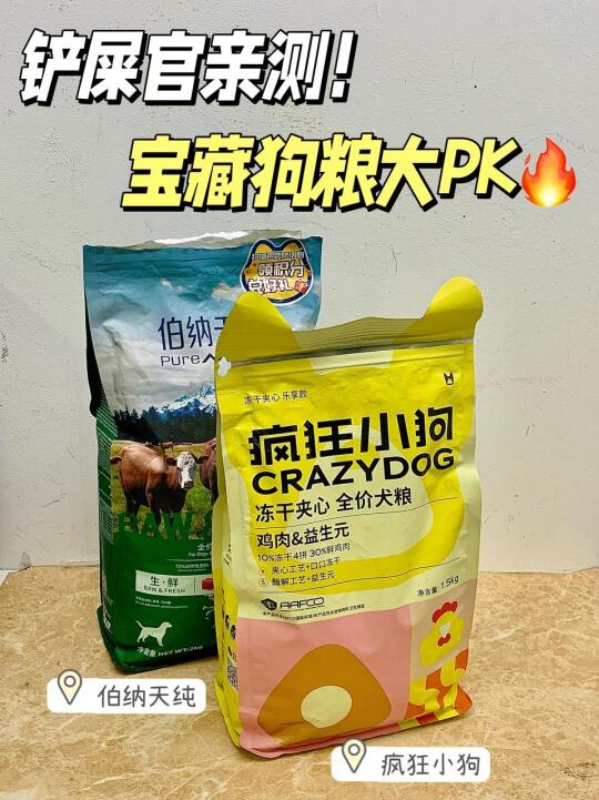 血泪亲测！疯狂小狗or伯纳天纯？