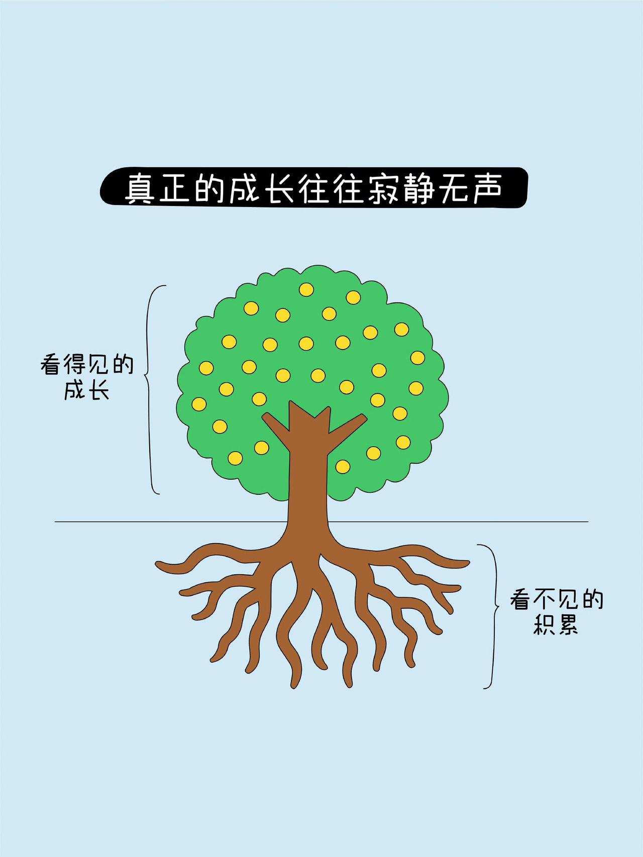 很多人急于看见结果，急于拿到反馈，却忘了成长最核心的部分，常常藏在看不见的地下。