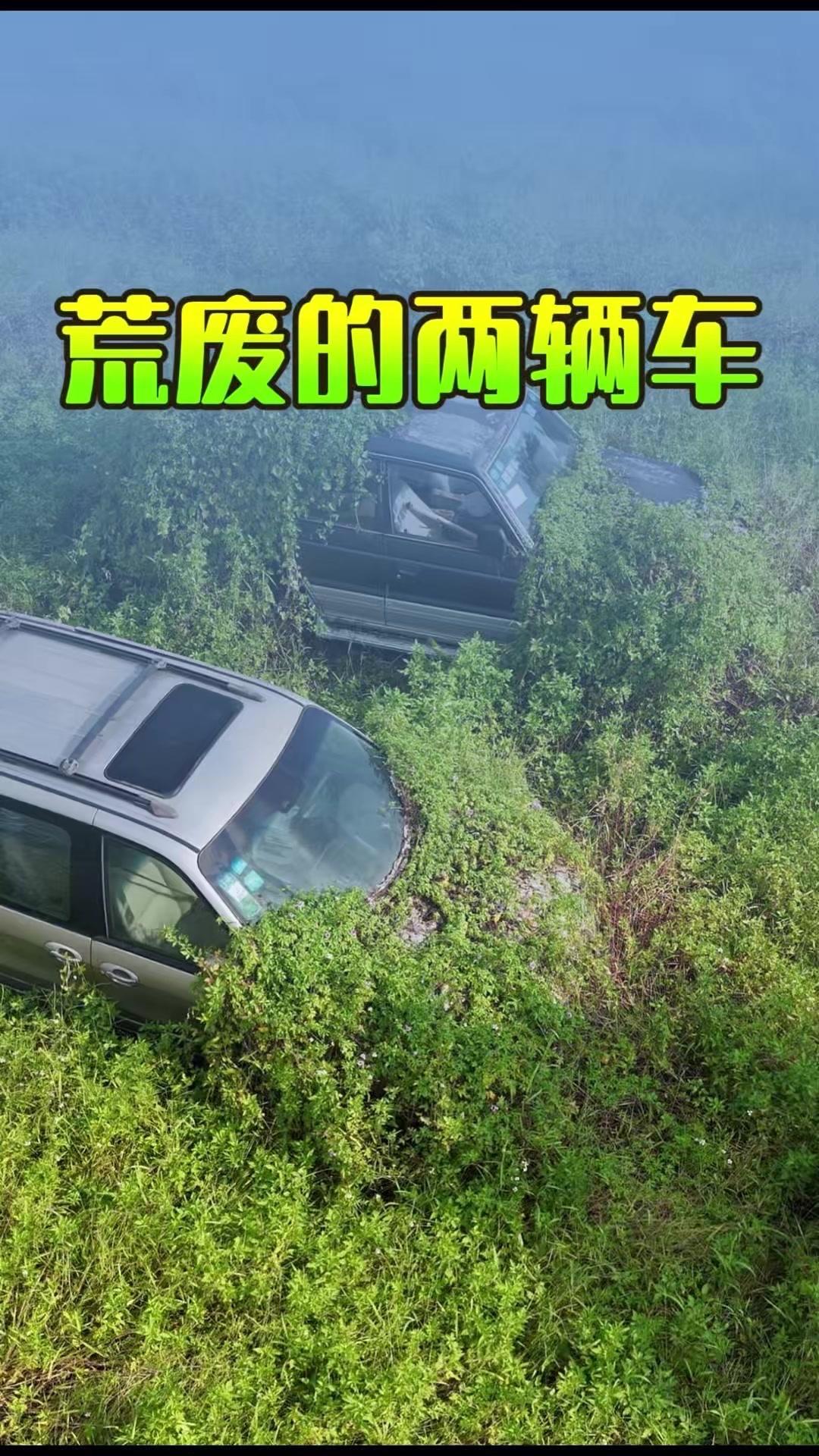 两辆蒙尘豪车陷在荒野杂草中，不知被遗弃了多少年。身后的百年碉楼门窗紧闭，杳无人迹