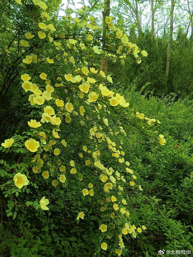 春天的太阳温暖美丽，朋友的牵挂温馨甜蜜。三八妇女节到了，给自己的心情也放个假吧！