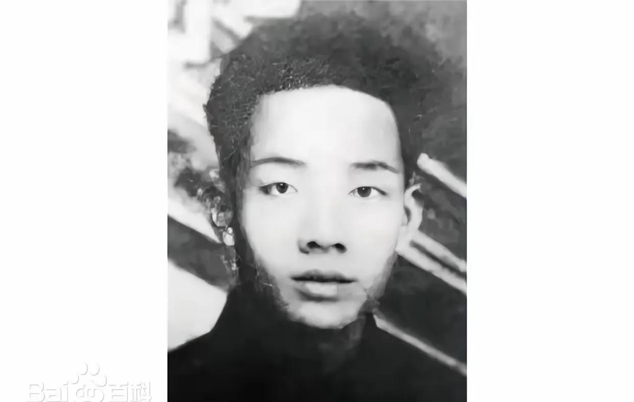 1934年深秋，上海地下党那柄直刺敌营的尖刀，在一夜之间骤然折断。三十五人组成的