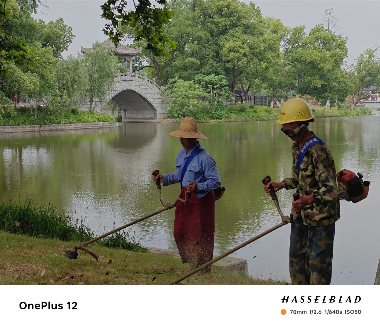 静谧中的劳动之美在喧嚣的城市中，有这样一片宁静的绿洲。两位默默奉献的劳动者，用他