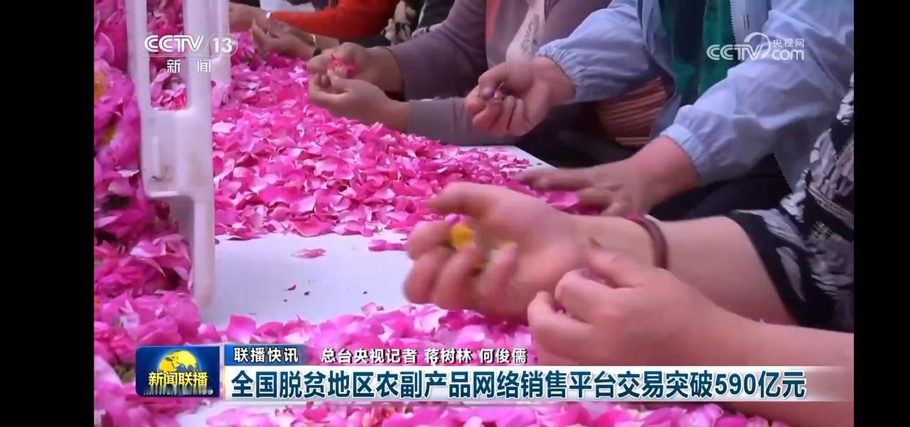“手捧鲜花，助力扶贫
全国脱贫攻坚地区农副产品网络销售平台交易突破590亿元