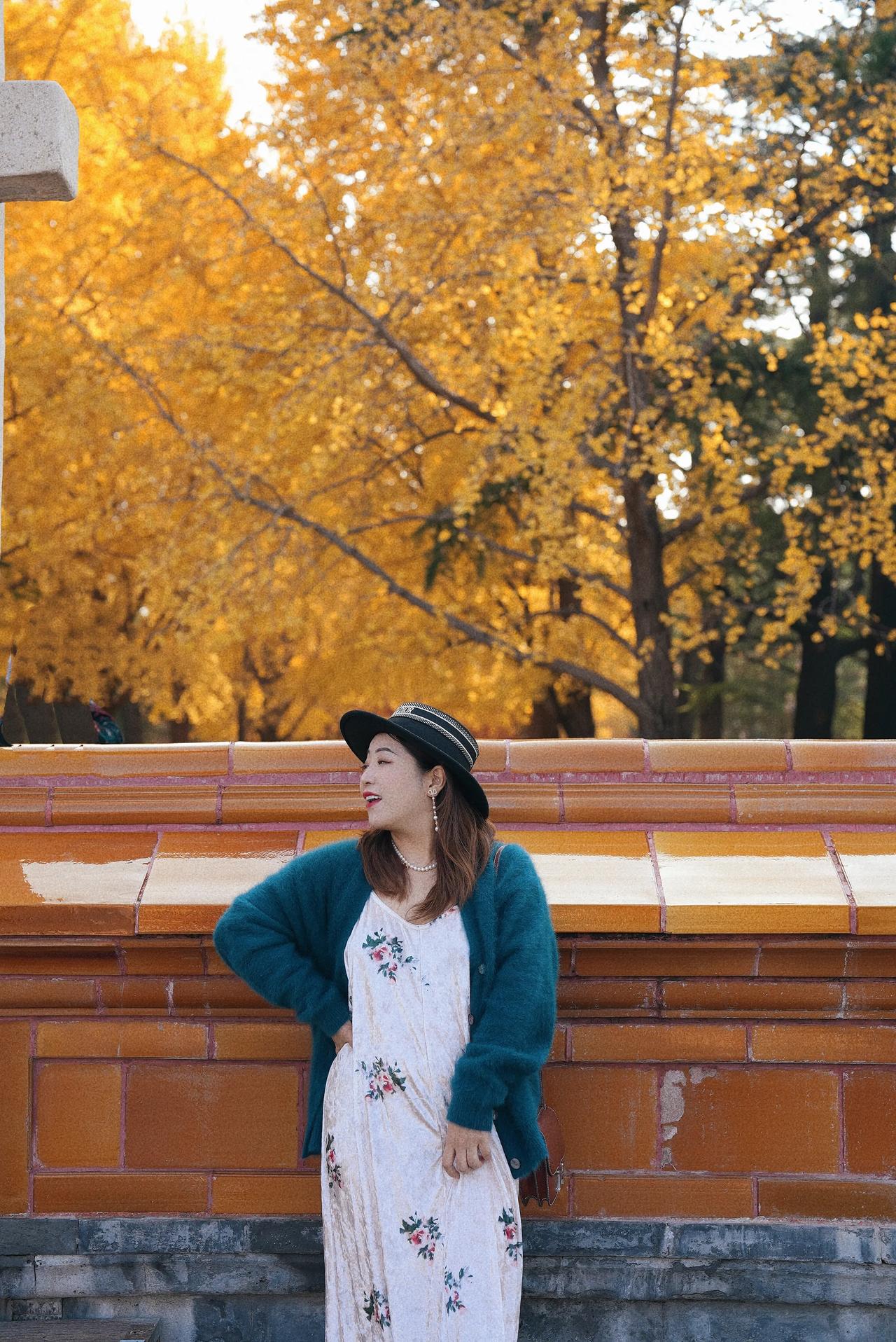 🍁🍁🍁🍁红墙银杏，中山公园秋色太美了
今天周五啦，周末有想好去哪里玩儿么
